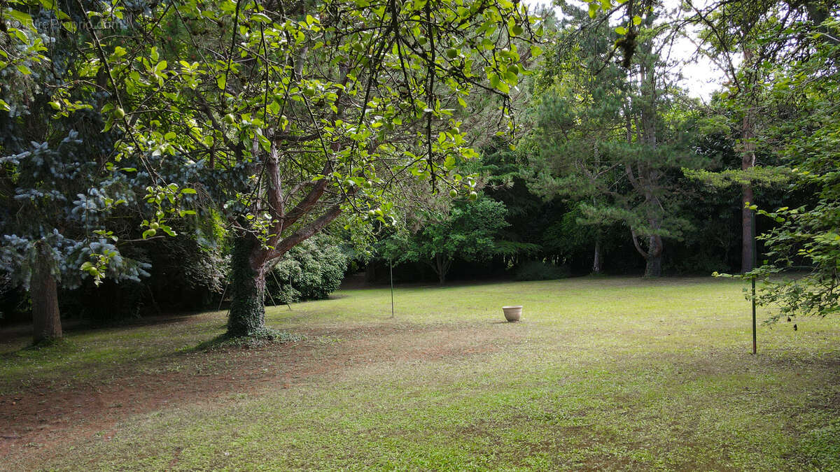 Terrain à CHANTILLY