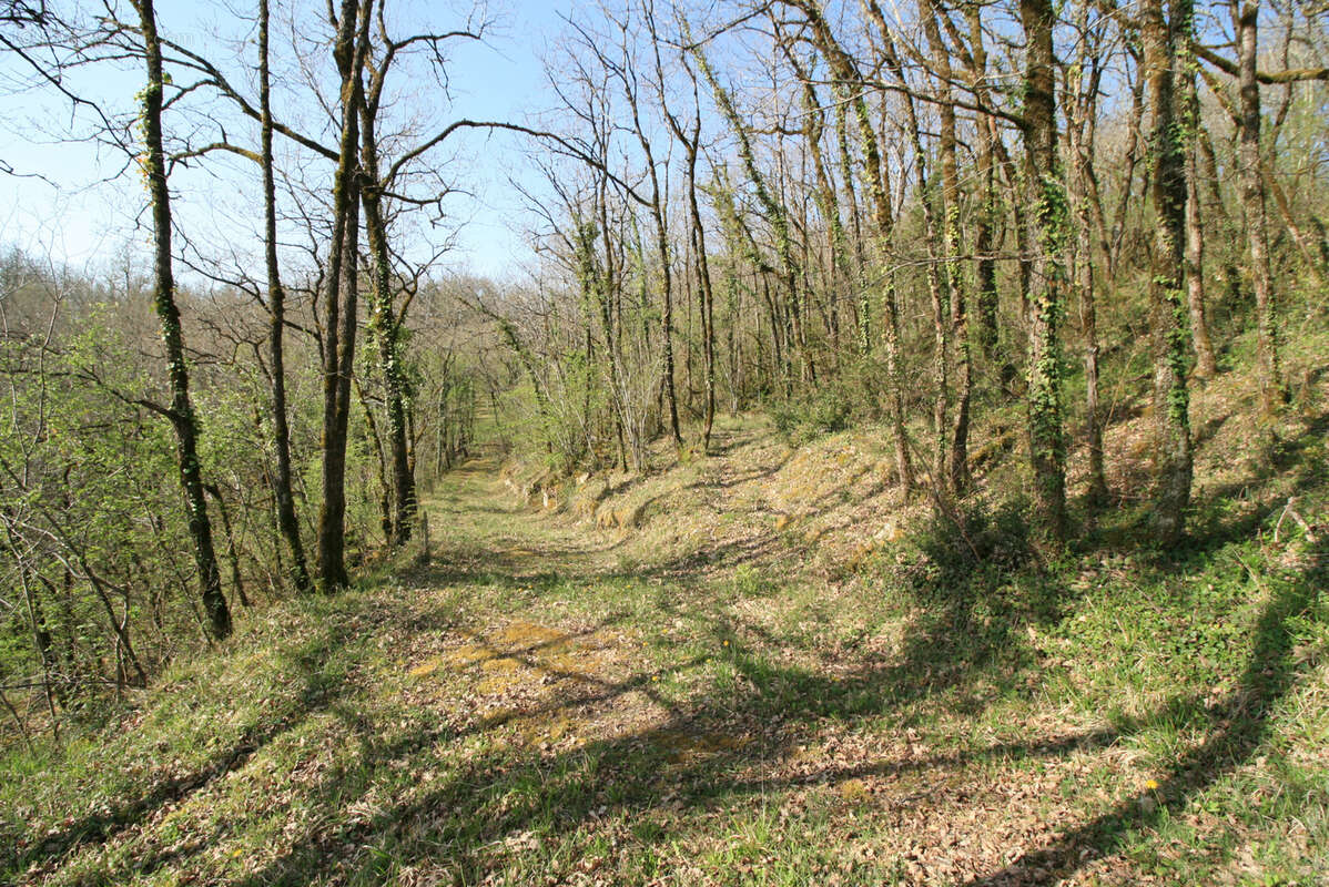 Maison à SAINT-CYPRIEN