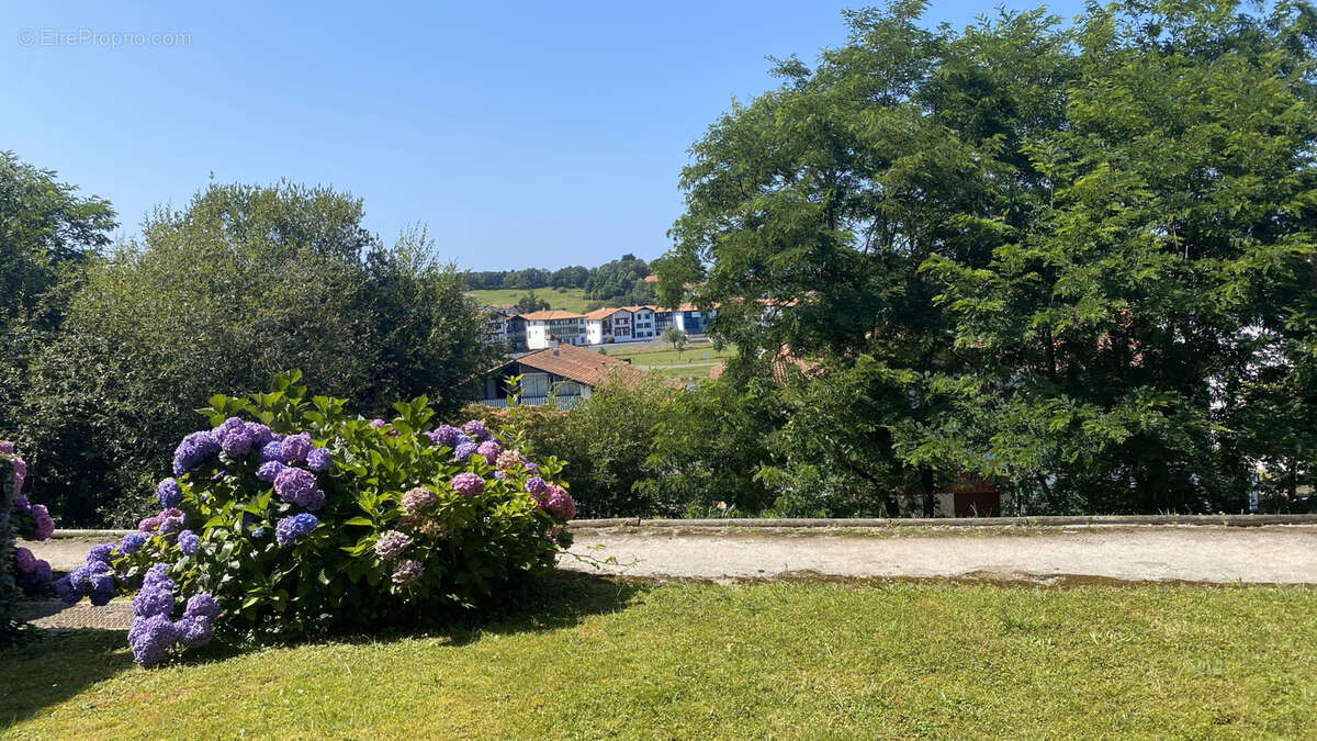 Appartement à CIBOURE