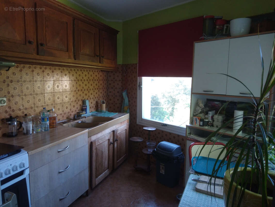 Maison à SAINT-JEAN-DU-PIN