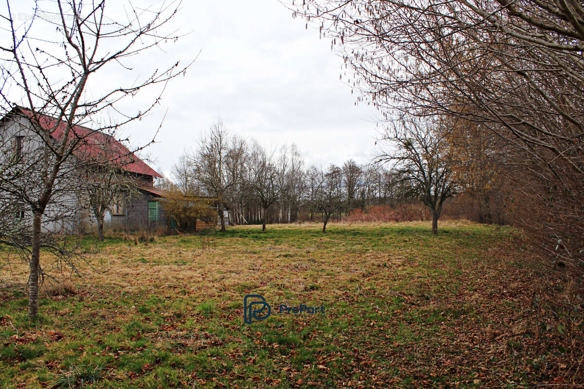 Maison à CHAPDES-BEAUFORT