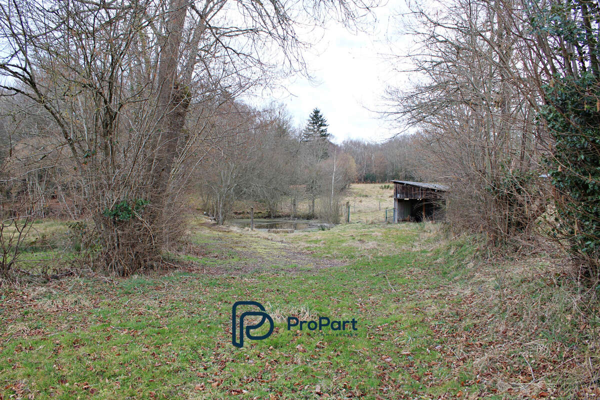 Maison à CHAPDES-BEAUFORT