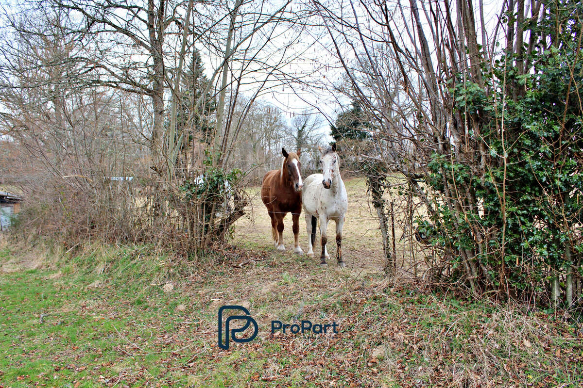 Maison à CHAPDES-BEAUFORT