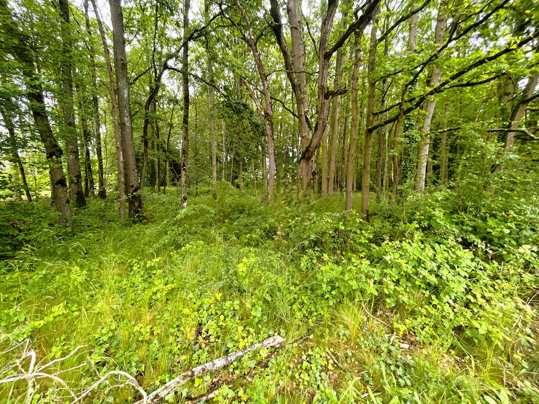 Terrain à NOGENT-LE-PHAYE