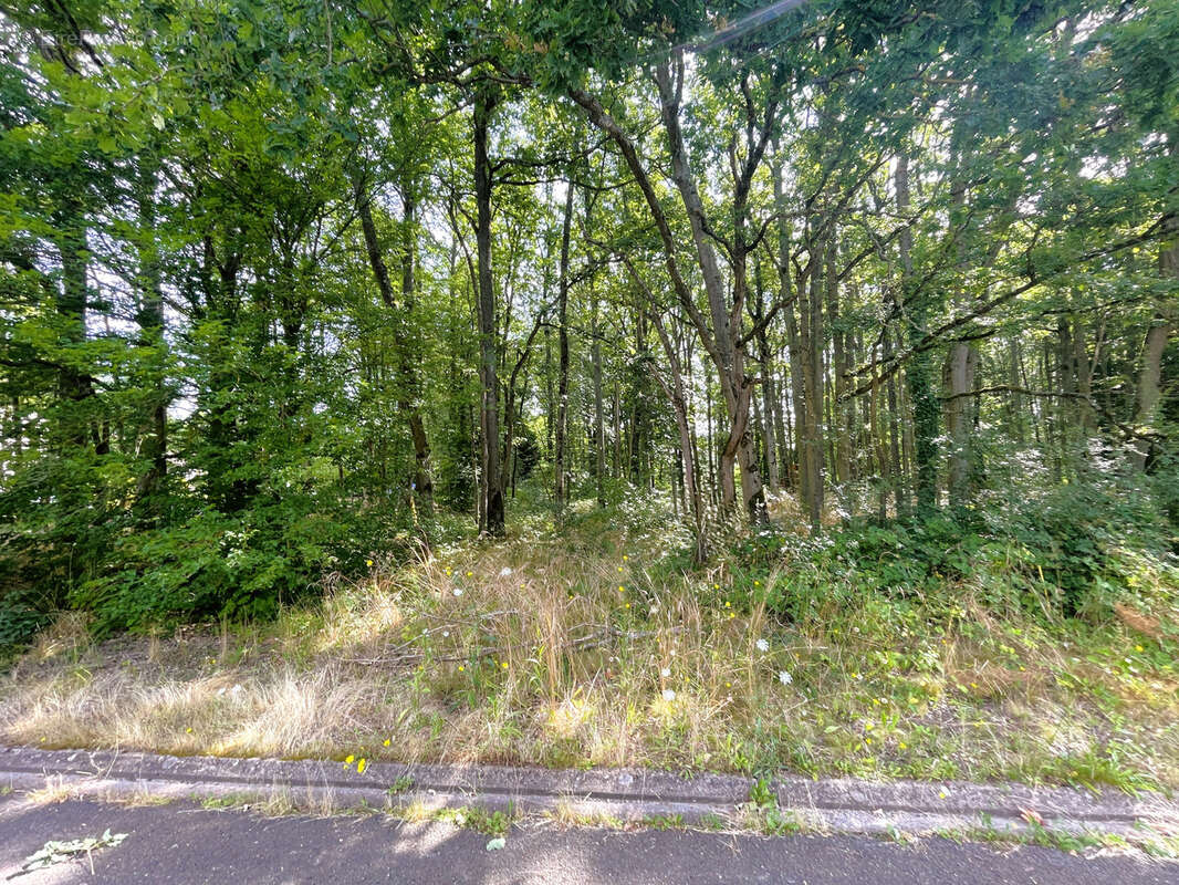 Terrain à NOGENT-LE-PHAYE