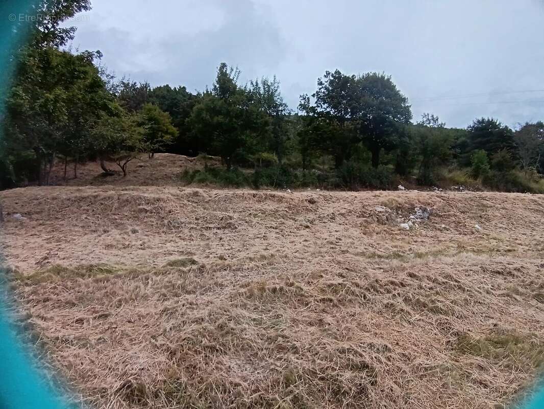 Terrain à COURSEGOULES