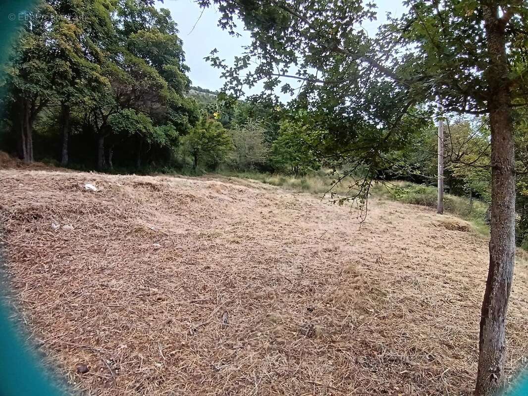 Terrain à COURSEGOULES