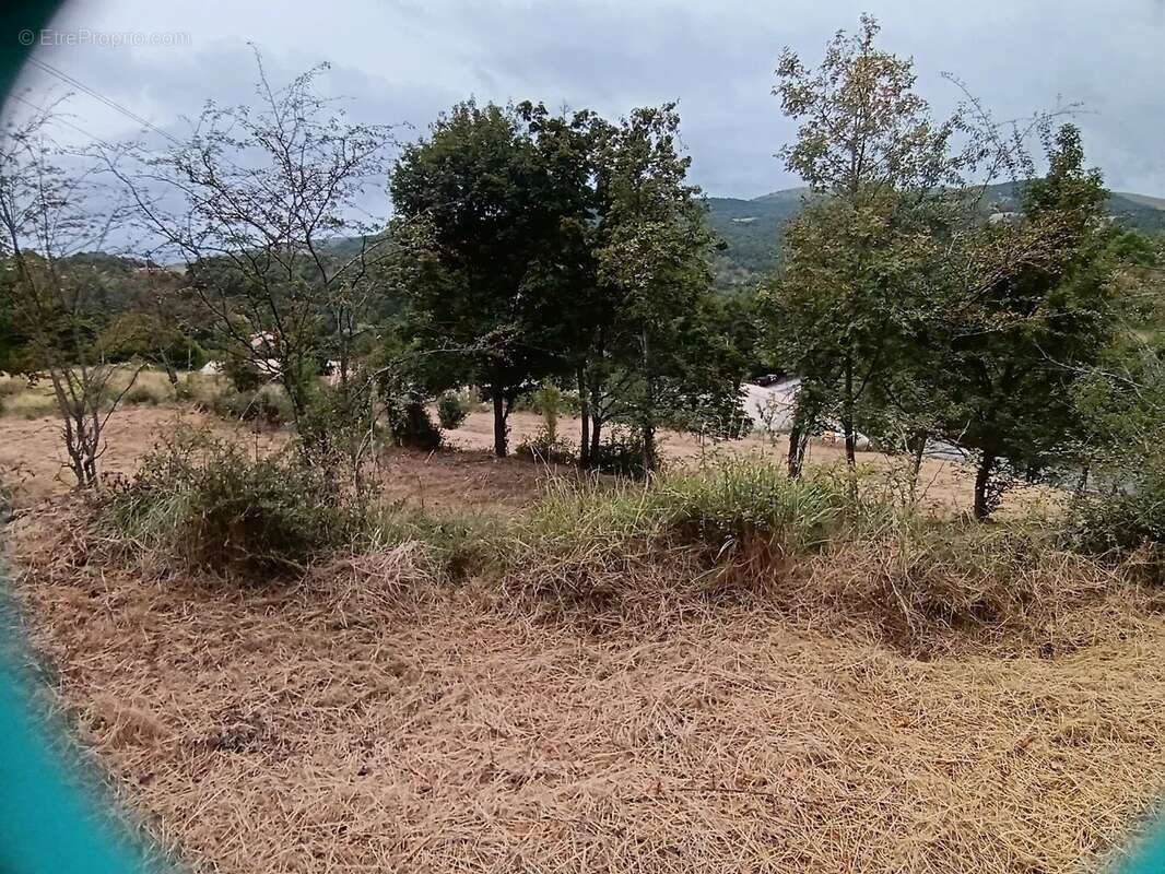 Terrain à COURSEGOULES