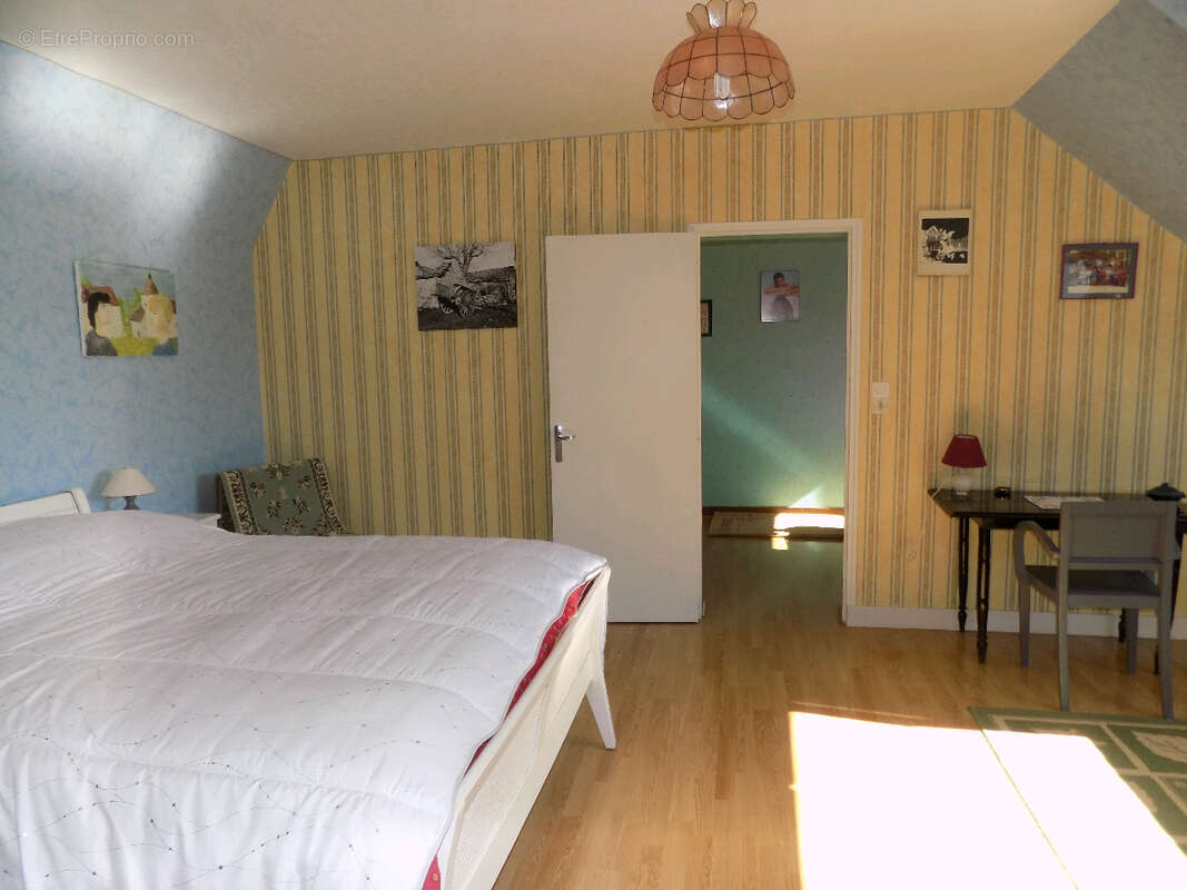 Maison à CHOUZE-SUR-LOIRE