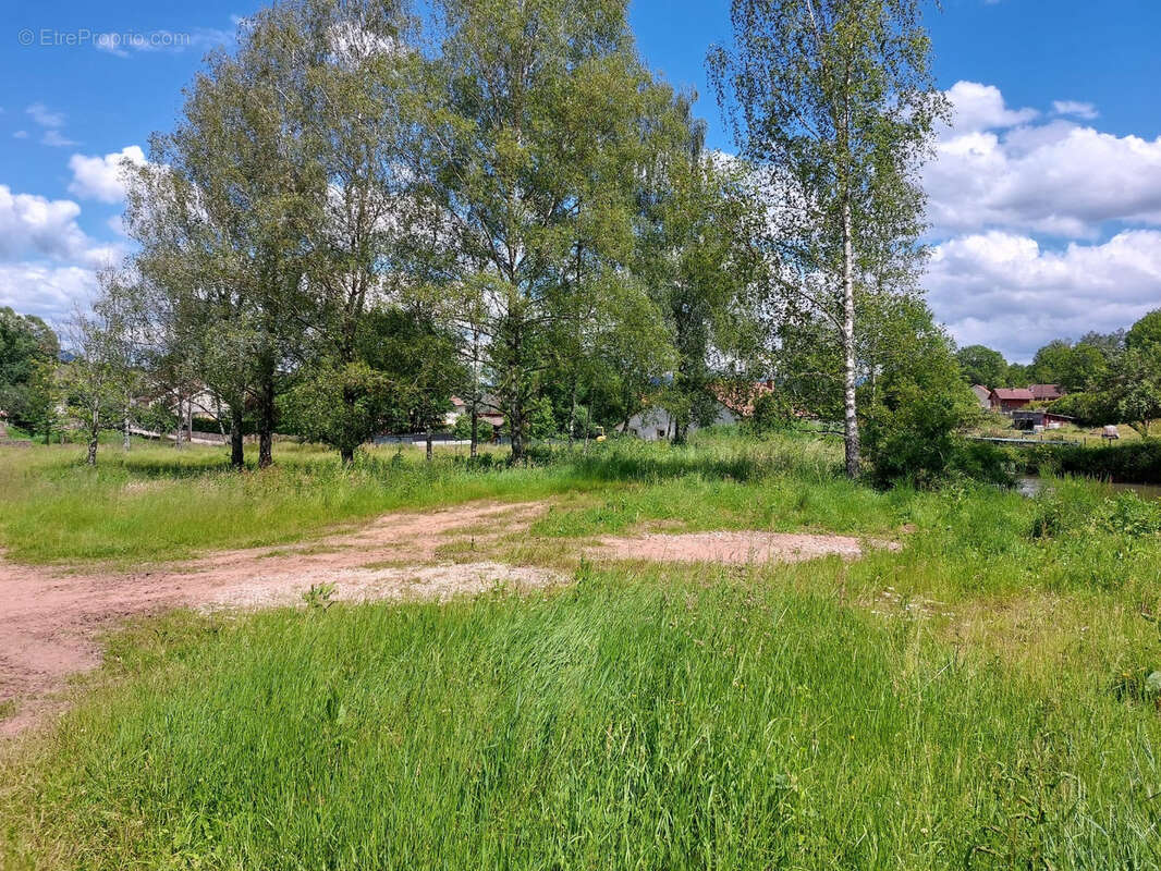 Terrain à SAULCY-SUR-MEURTHE