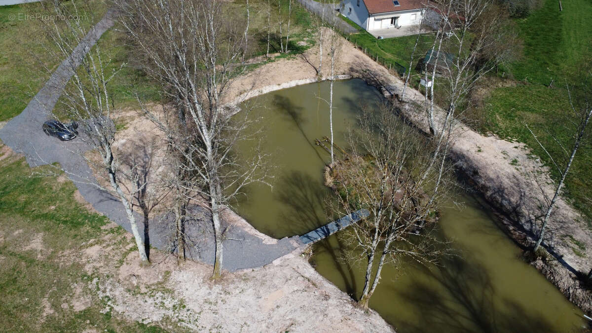 Terrain à SAULCY-SUR-MEURTHE