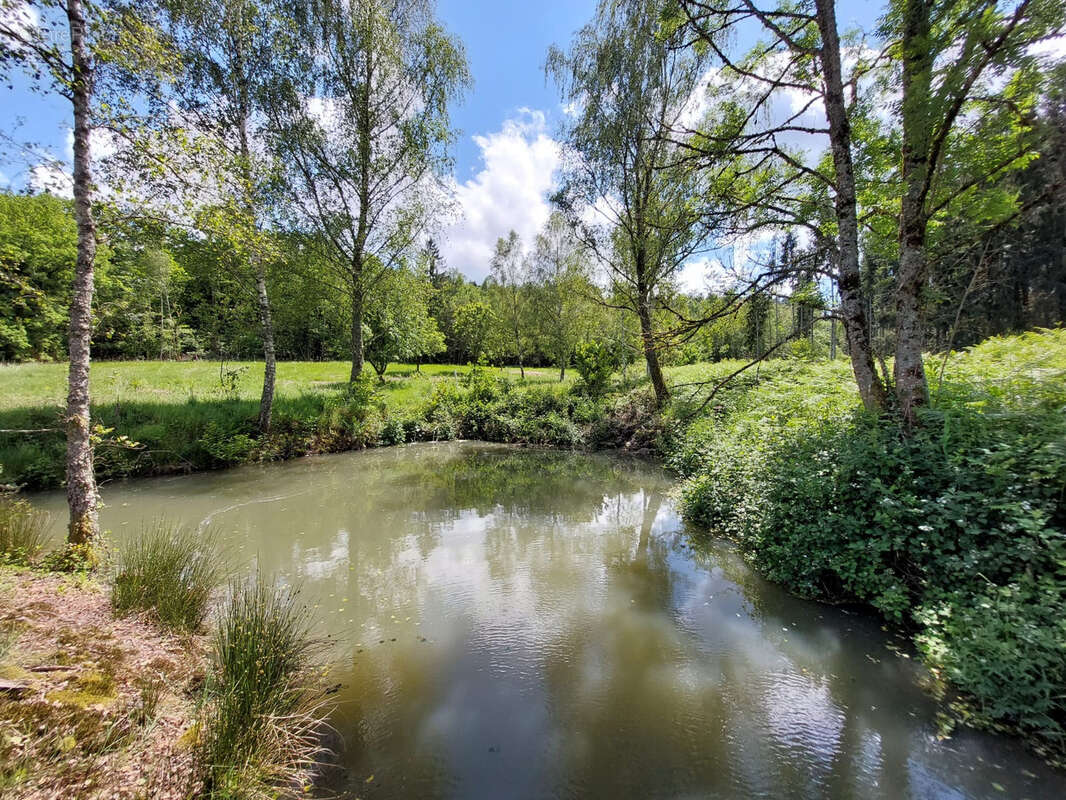 Terrain à SAULCY-SUR-MEURTHE