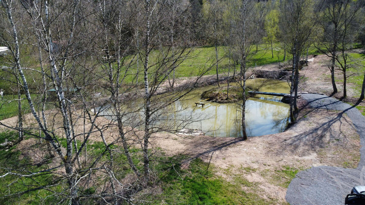 Terrain à SAULCY-SUR-MEURTHE