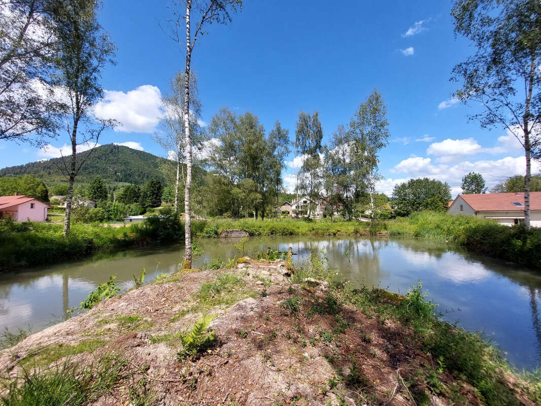 Terrain à SAULCY-SUR-MEURTHE