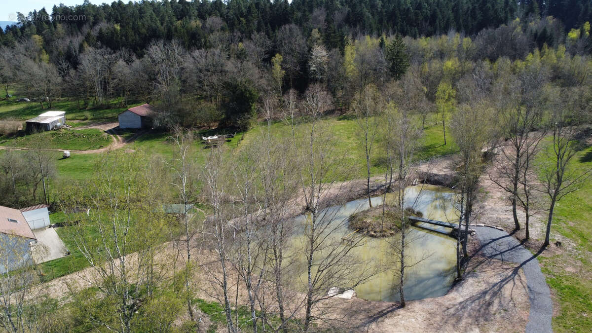 Terrain à SAULCY-SUR-MEURTHE
