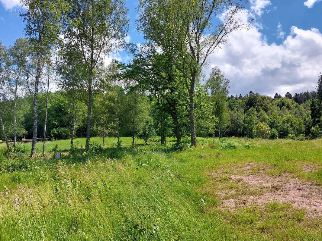 Terrain à SAULCY-SUR-MEURTHE