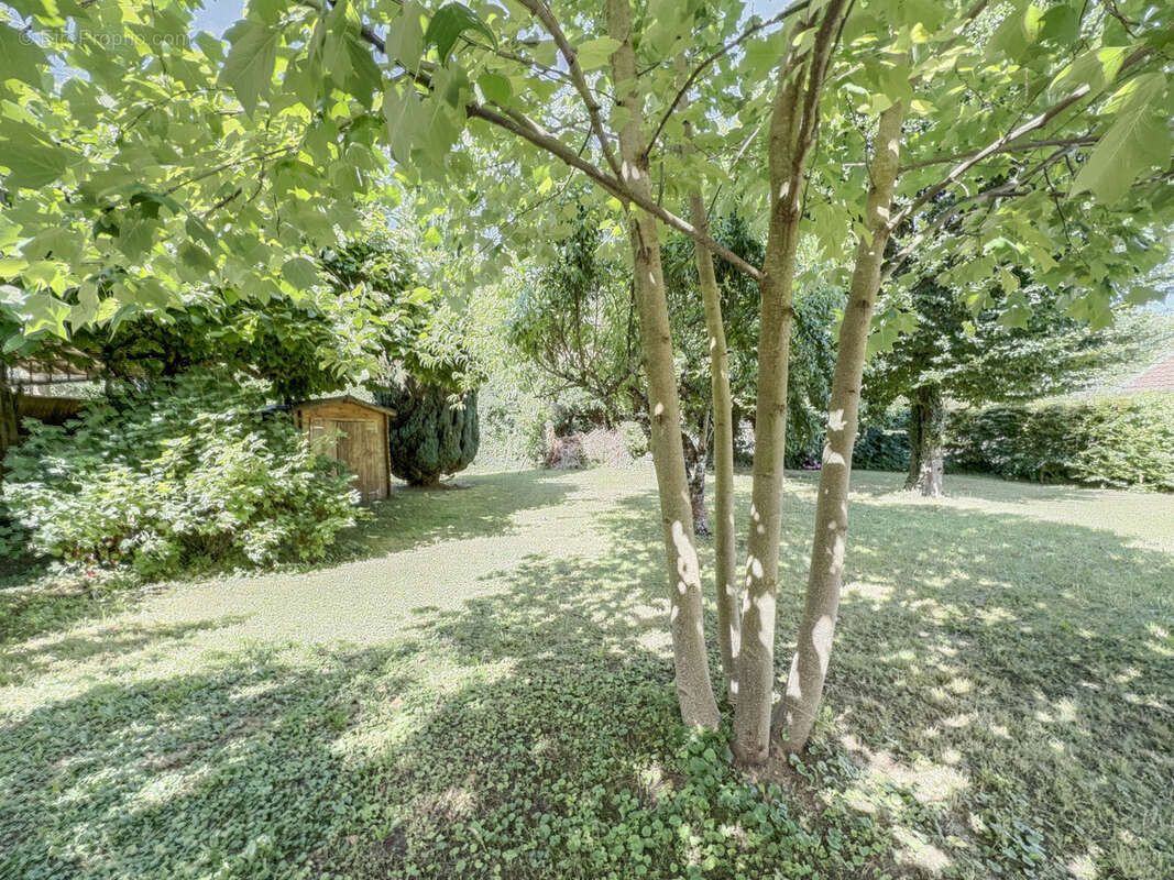 Commerce à PONT-DE-ROIDE