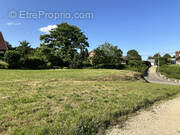 Terrain à OBERMORSCHWILLER