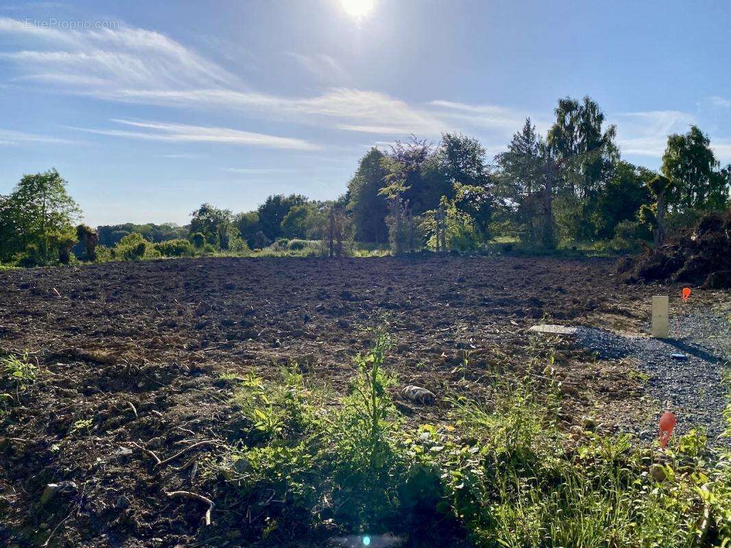 Terrain à GRANGUES