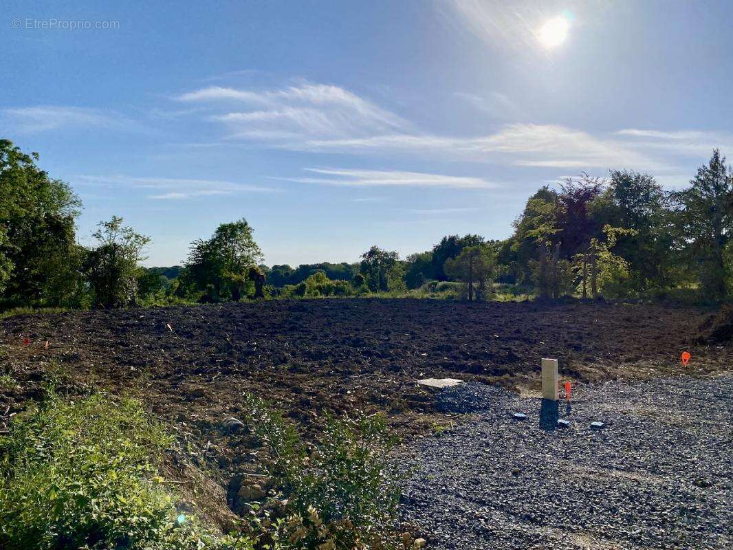 Terrain à GRANGUES