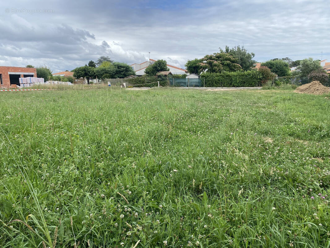Terrain à SAINT-PALAIS-SUR-MER