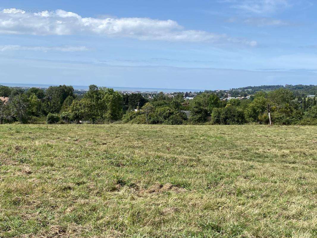 Terrain à DEAUVILLE