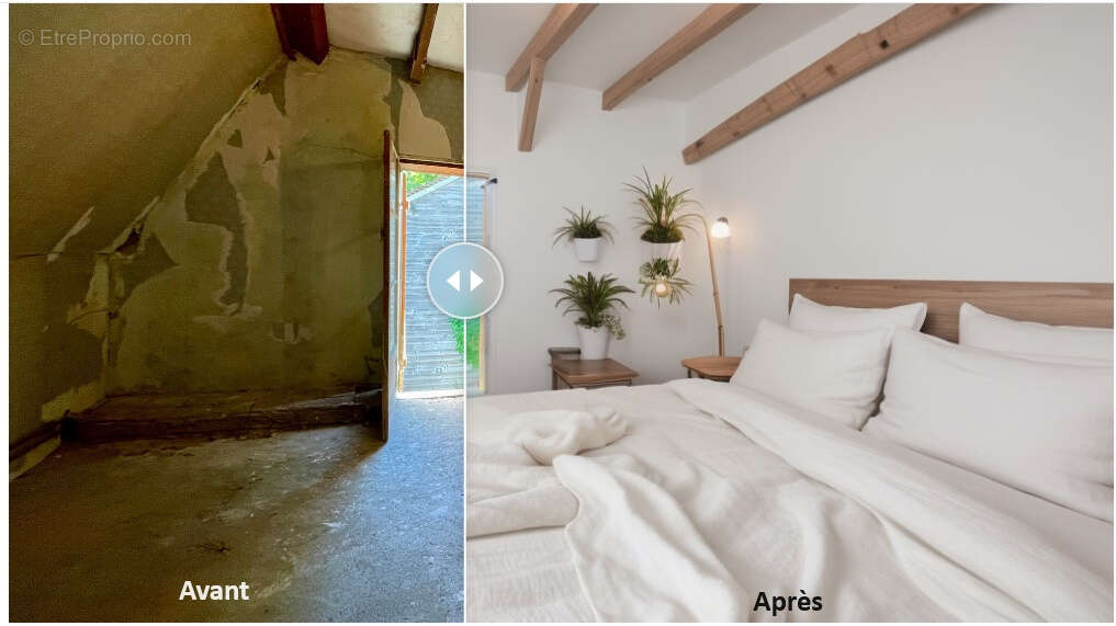 Maison à VILLEBOURG