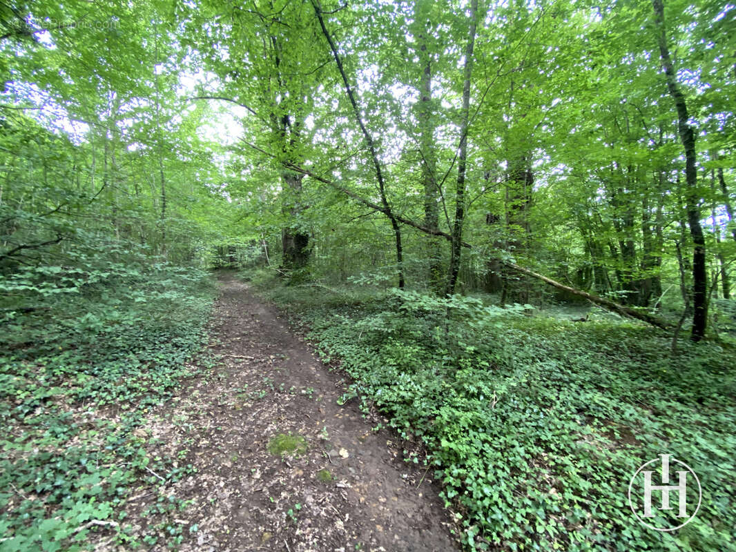 Maison à SAINT-JEANVRIN