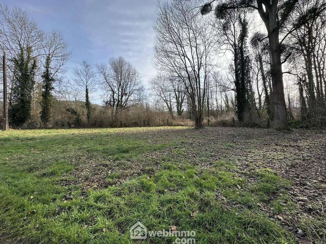 Coup de c½ur assuré pour ce terrain de loisirs avec étang - Terrain à PRESLES-ET-THIERNY