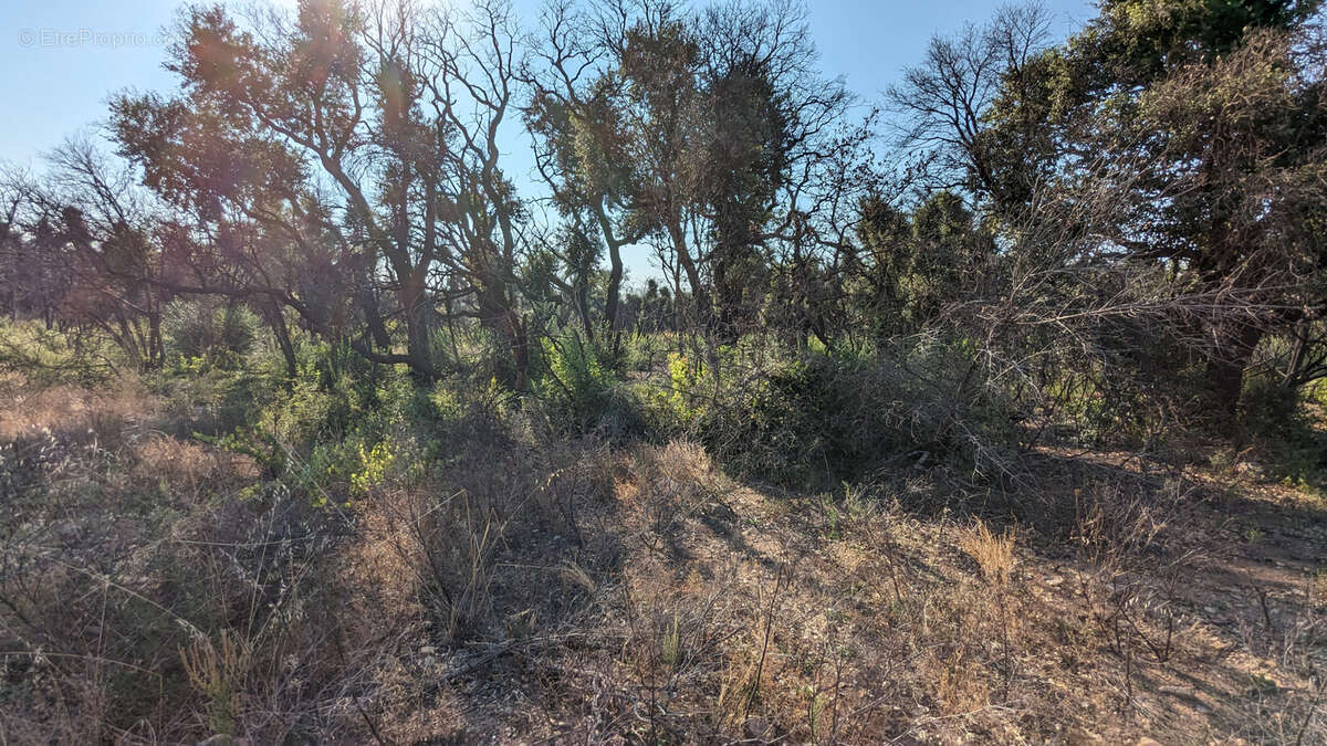 Terrain à SAINT-ANDRE
