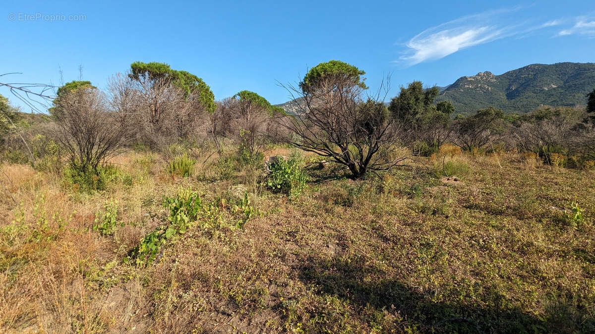 Terrain à SAINT-ANDRE