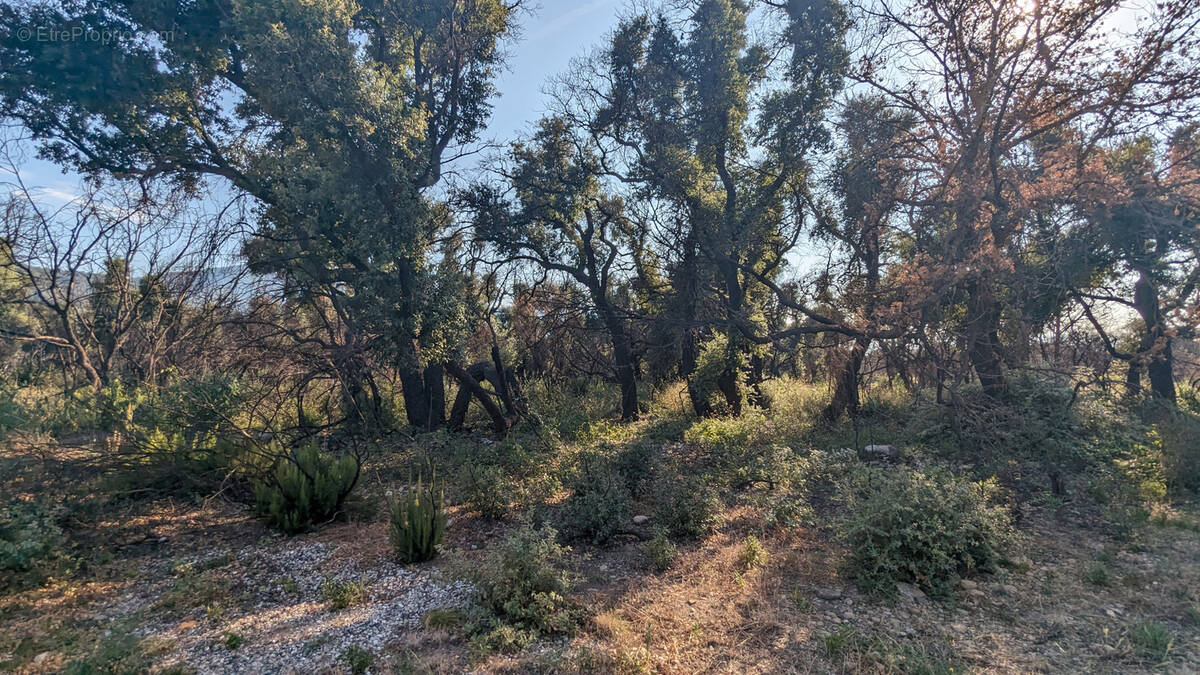 Terrain à SAINT-ANDRE