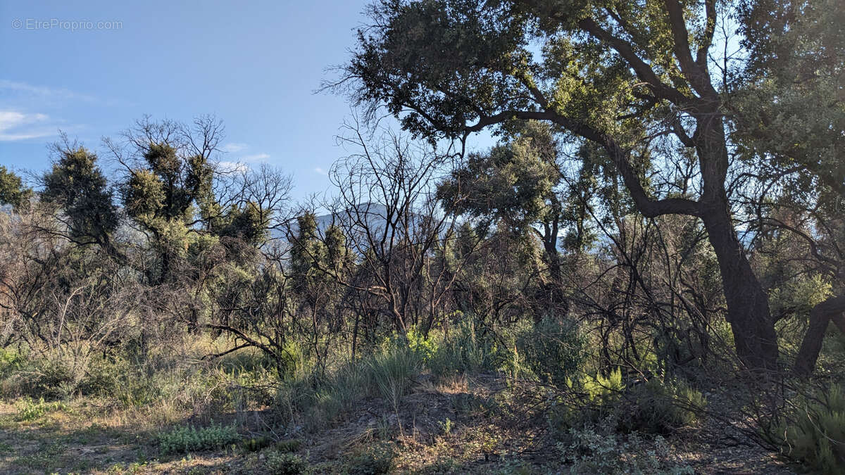 Terrain à SAINT-ANDRE