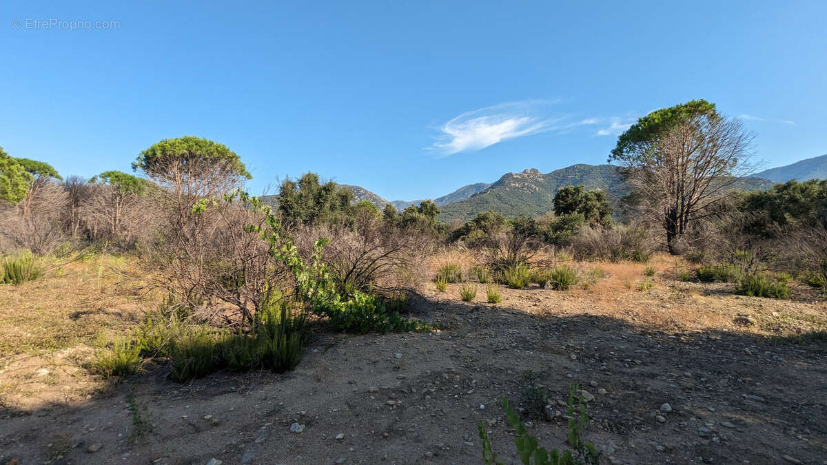 Terrain à SAINT-ANDRE