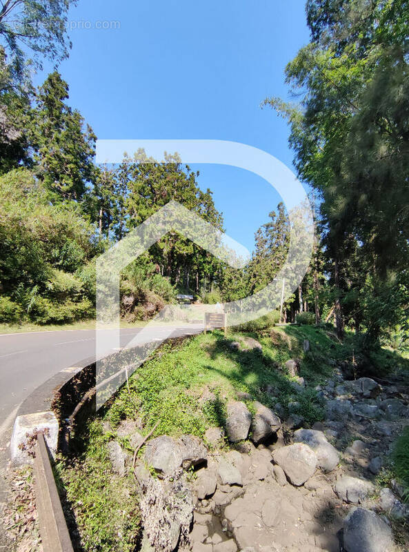 Terrain à SAINT-LOUIS