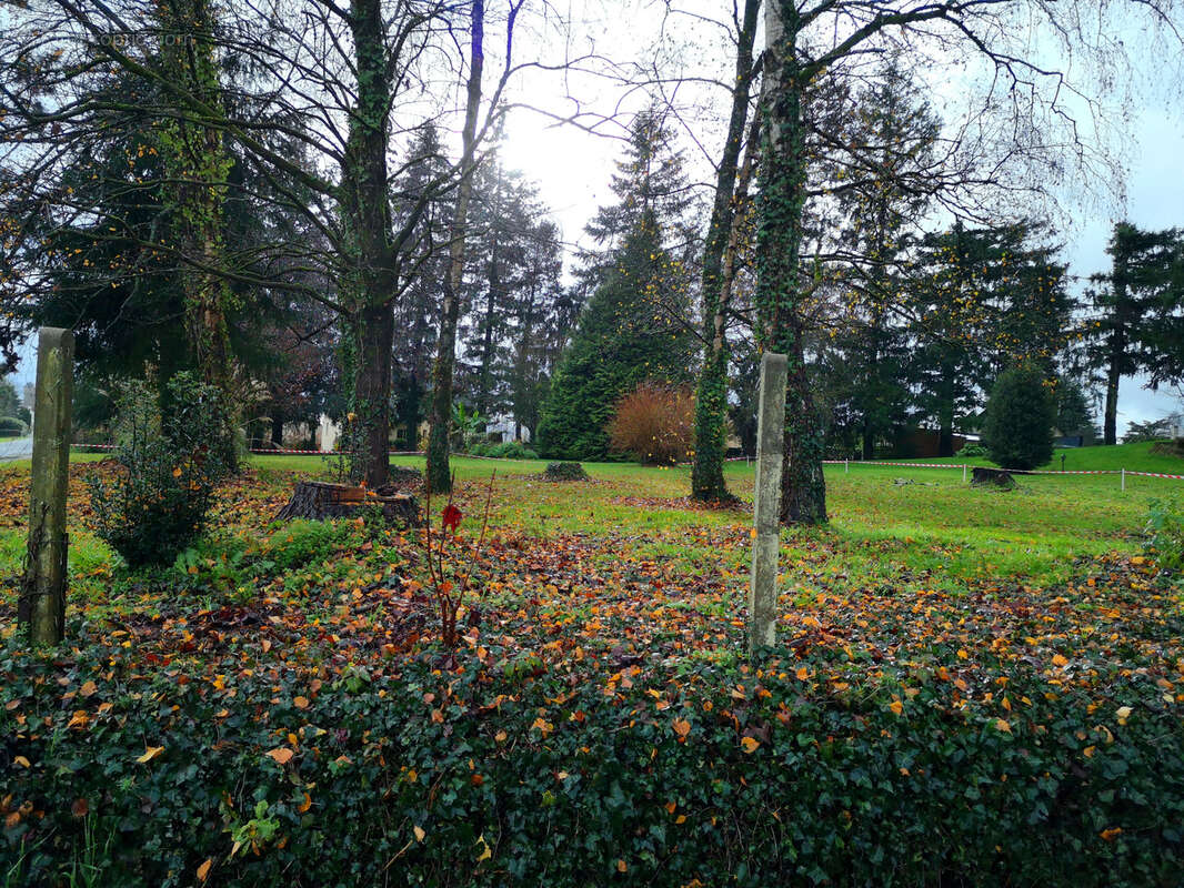 Terrain à MAYENNE
