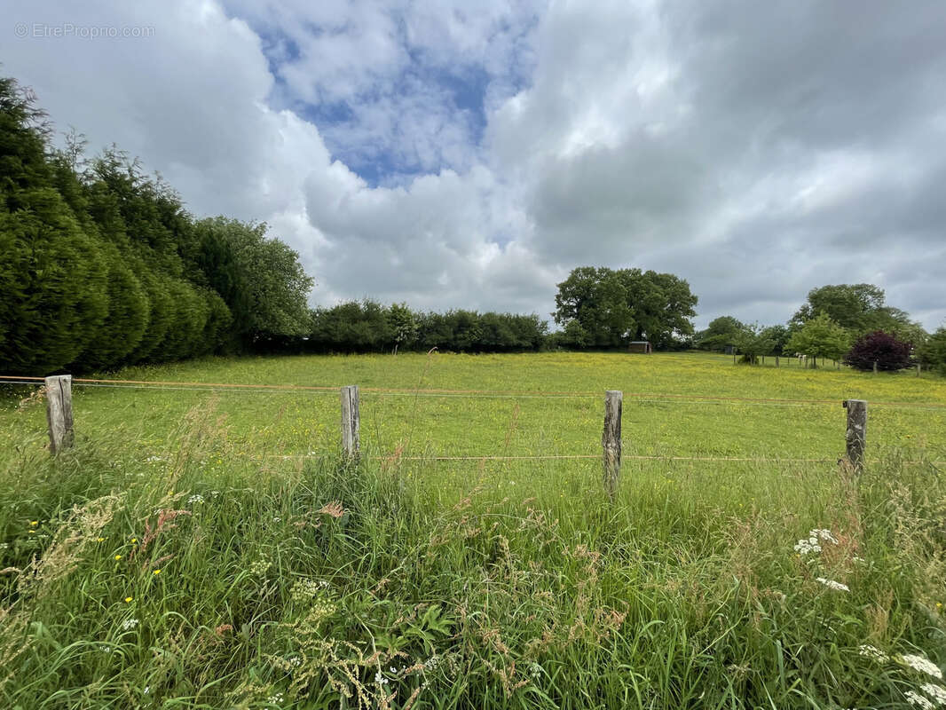 Terrain à CHAMPGENETEUX