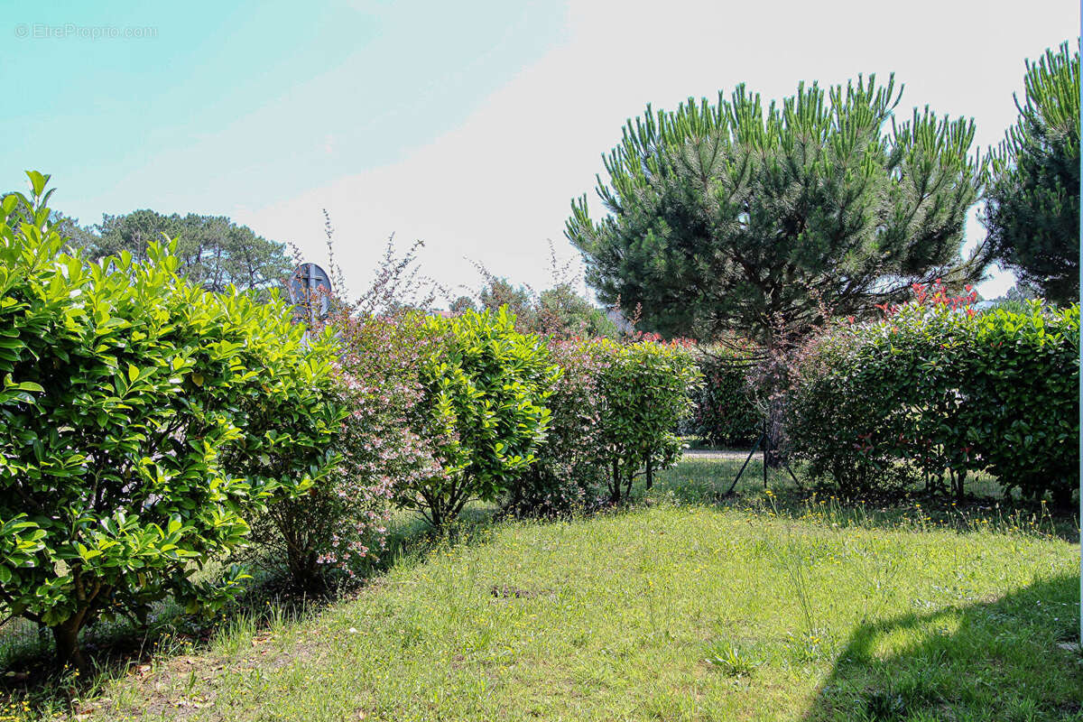 Appartement à LABENNE