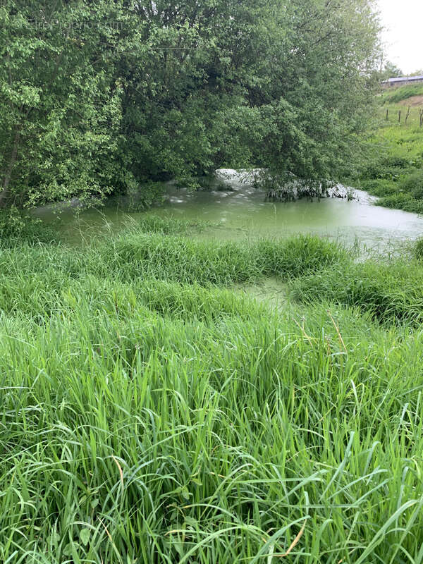 Terrain à AMBRIERES-LES-VALLEES