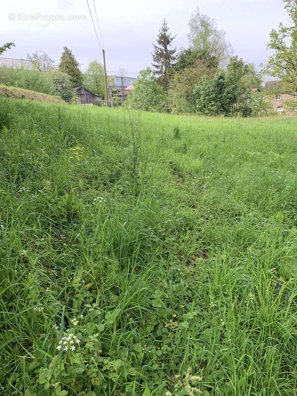 Terrain à AMBRIERES-LES-VALLEES