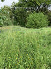 Terrain à AMBRIERES-LES-VALLEES