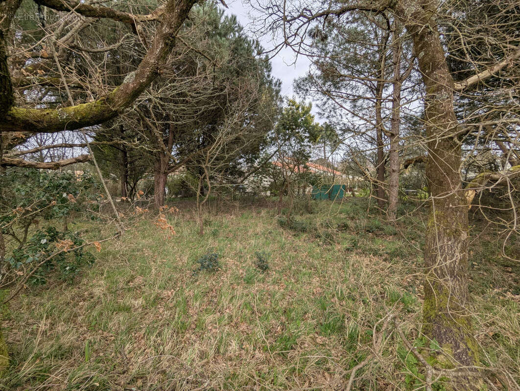 Terrain à LES SABLES-D&#039;OLONNE