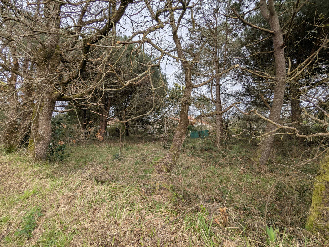 Terrain à LES SABLES-D&#039;OLONNE