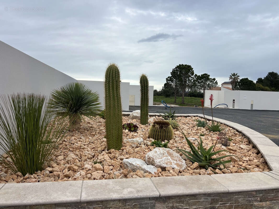 Terrain à PERPIGNAN