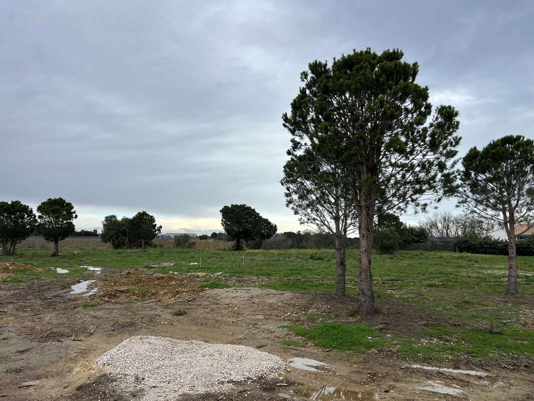 Terrain à PERPIGNAN