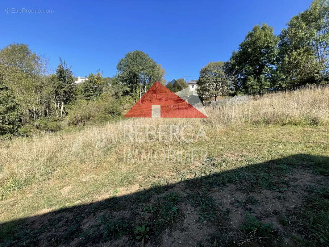 Terrain à LACAUNE