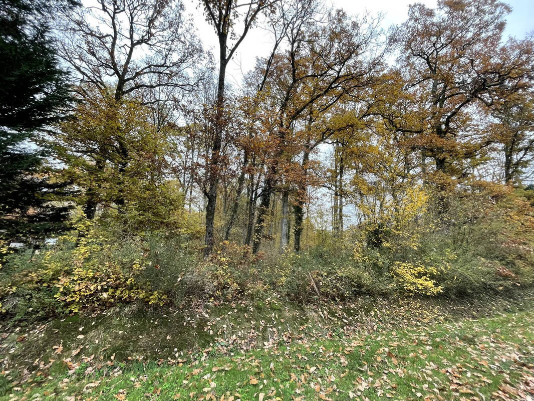 Terrain à BAZOCHES-SUR-LE-BETZ