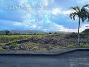 Terrain à BRAS-PANON