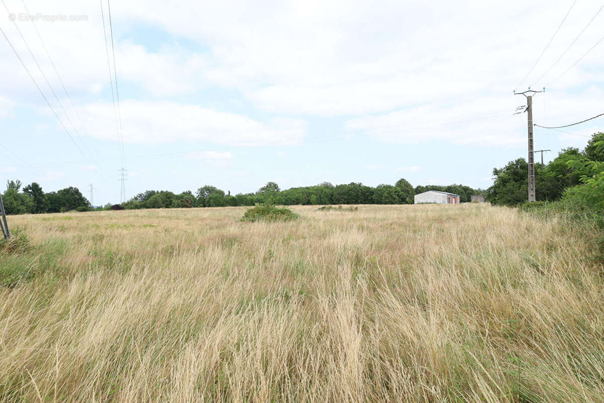Terrain à MONTAUBAN