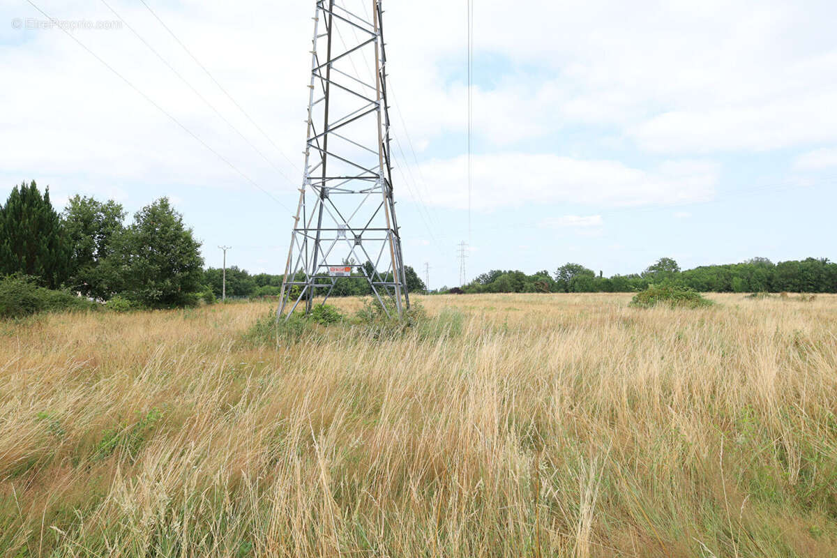 Terrain à MONTAUBAN